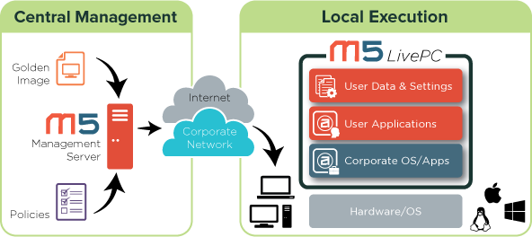 CentralManagement_LocalExecution