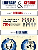 Infographic - Mobile Workforce