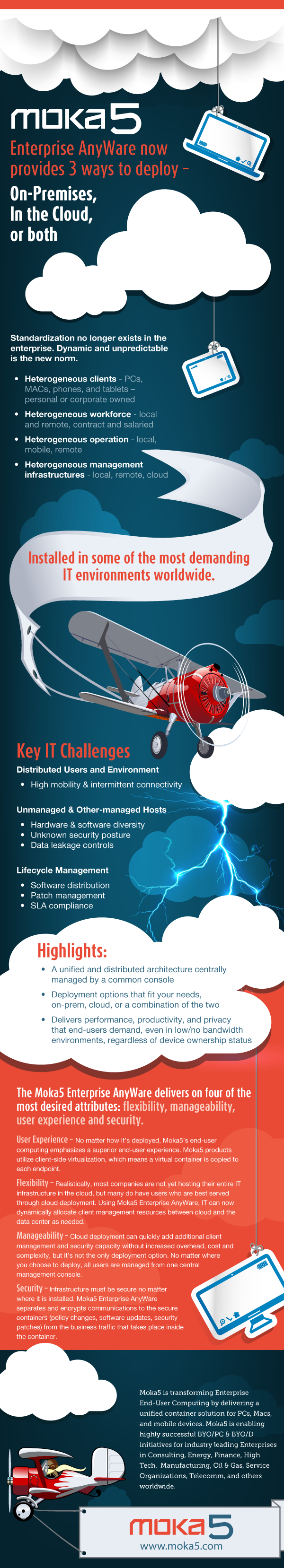 AnyWare_infographic
